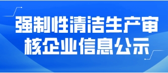 強制性清潔生產(chǎn)審核企業(yè)信息公示——武平偉明環(huán)保能源有限公司